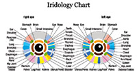 Iriscopy - iridology