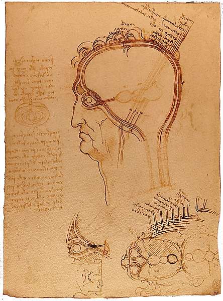 course: I Can See, chapter: Art Classes, page: Leonardo de Vinci about the eye, seeing and vision